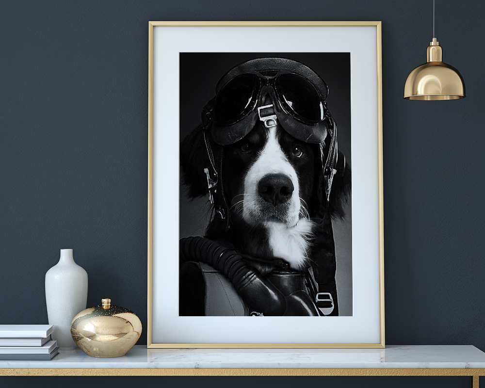 Vignette photomontage chien pilote de chasse